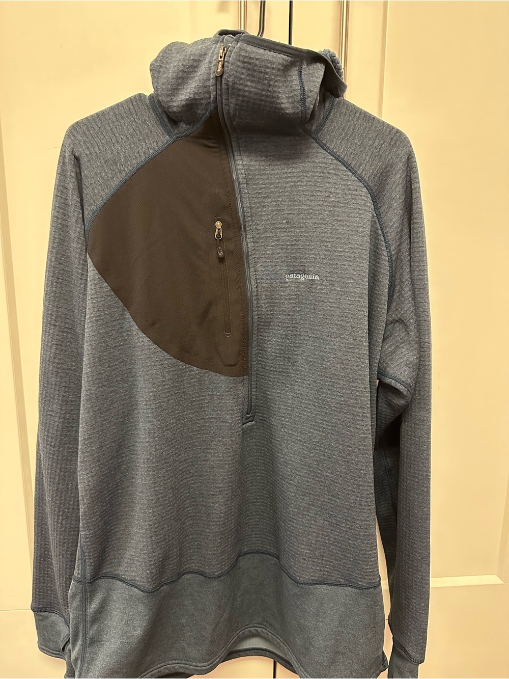 Men Patagonia R1 hoody